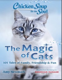 Chicken soup for the soul the magic of cats 101 tales of family, friendship & fun..