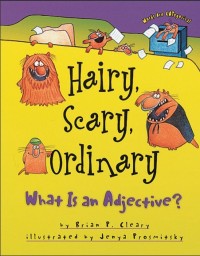 Hairy, Scary, Ordinary What Is an Adjective