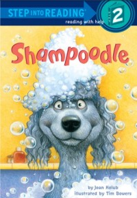 Shampoodle