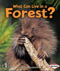 What Can Live in a Forest?