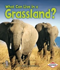 What Can Live in a Grassland?