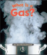 What is a Gas?