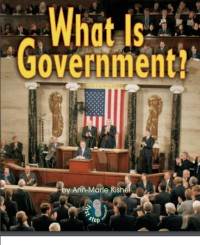 What is a Government?