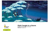 Pishi Caught in a Storm : Level 3