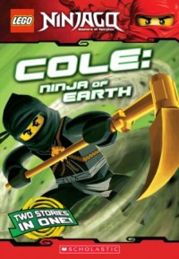 Cole: ninja of earth