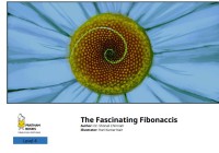 The Fascinating Fibonaccis : Level 4