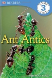 Ant antics