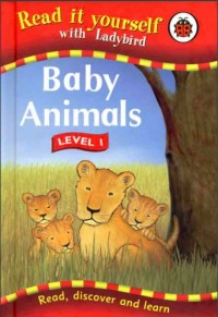 Baby Animals: Level 1