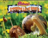 Creeping land snails