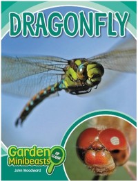 Dragonfly : garden minibeasts up close