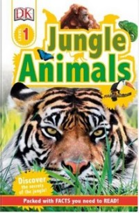 Jungle animals discover the secrets of the jungle