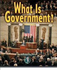 What is a Government?